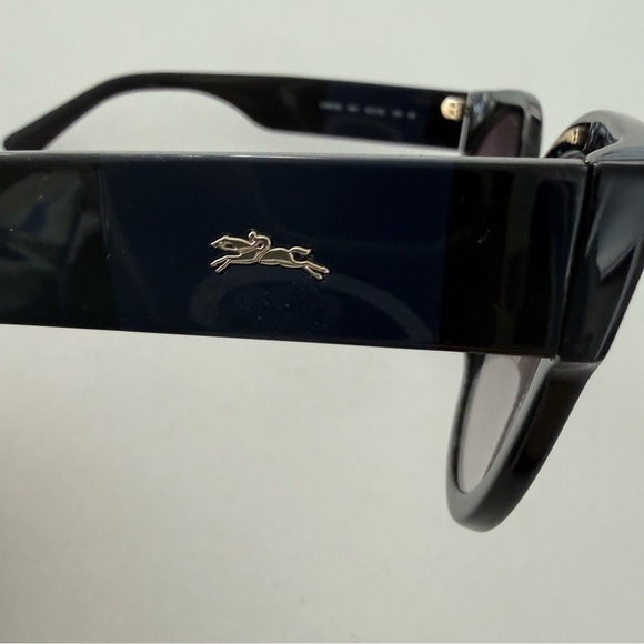 Longchamp Women\'s 56mm Black Sunglasses LO673S-001 main image 4